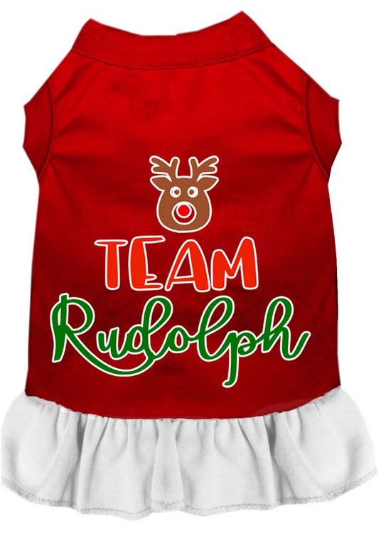 Team Rudolph Screen Print Dog Dress Red with White XS